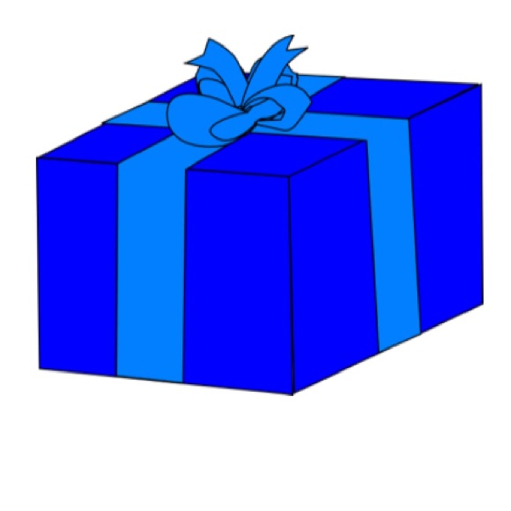 Small - Lingerie Mystery Box- $150.00+ Items -  not to exceed 5lbs.